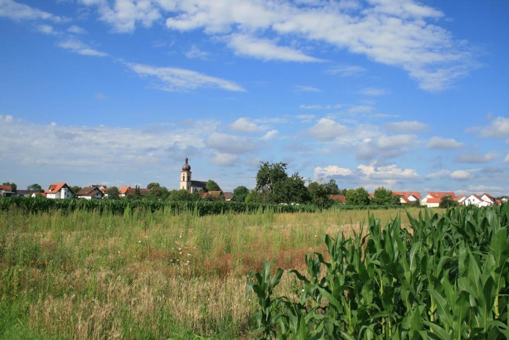 Odas Feriendomizil Europapark Kappel-Grafenhausen Exteriör bild